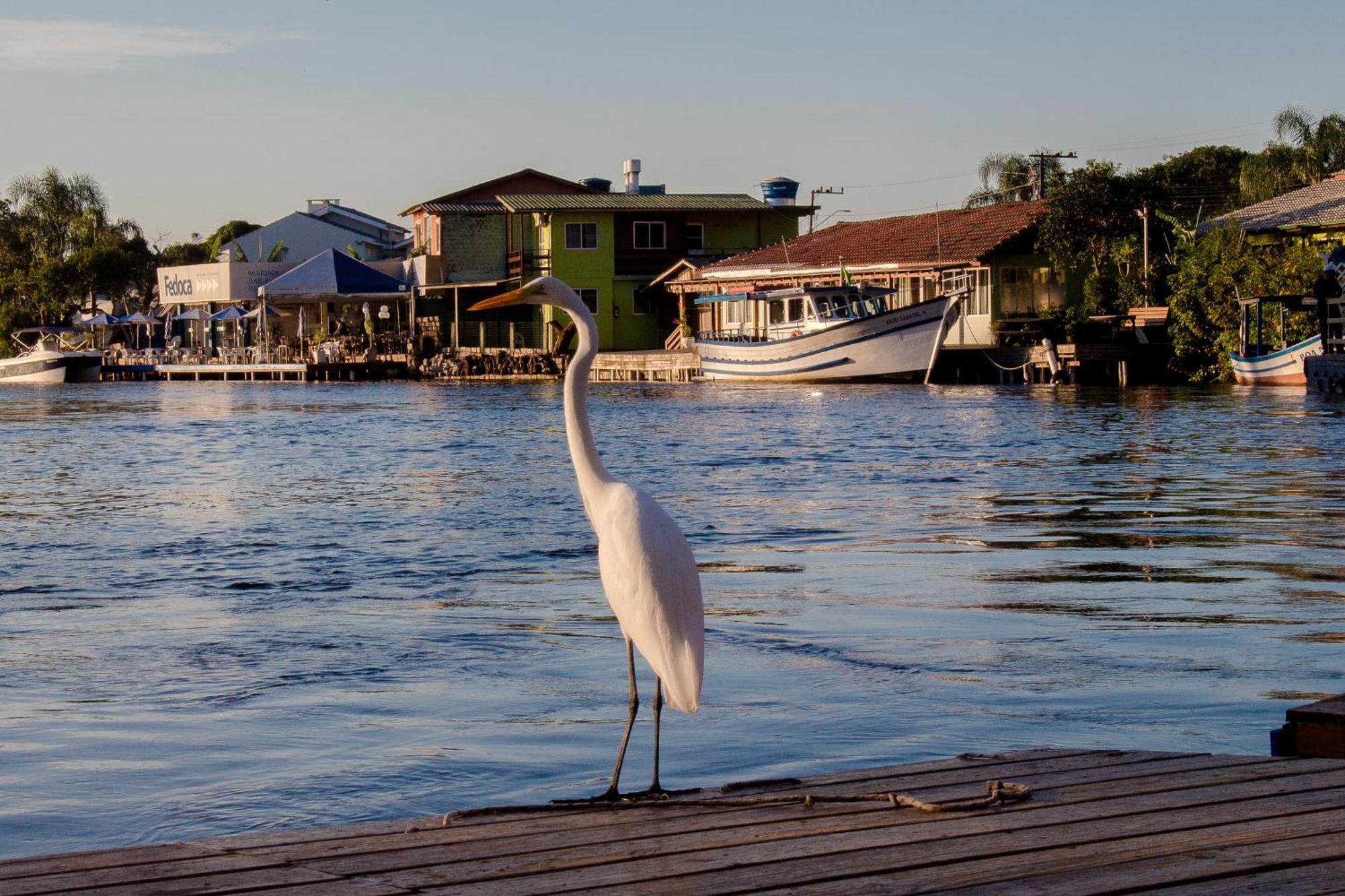 Pousada Quinta Da Margem Florianópolis Екстериор снимка