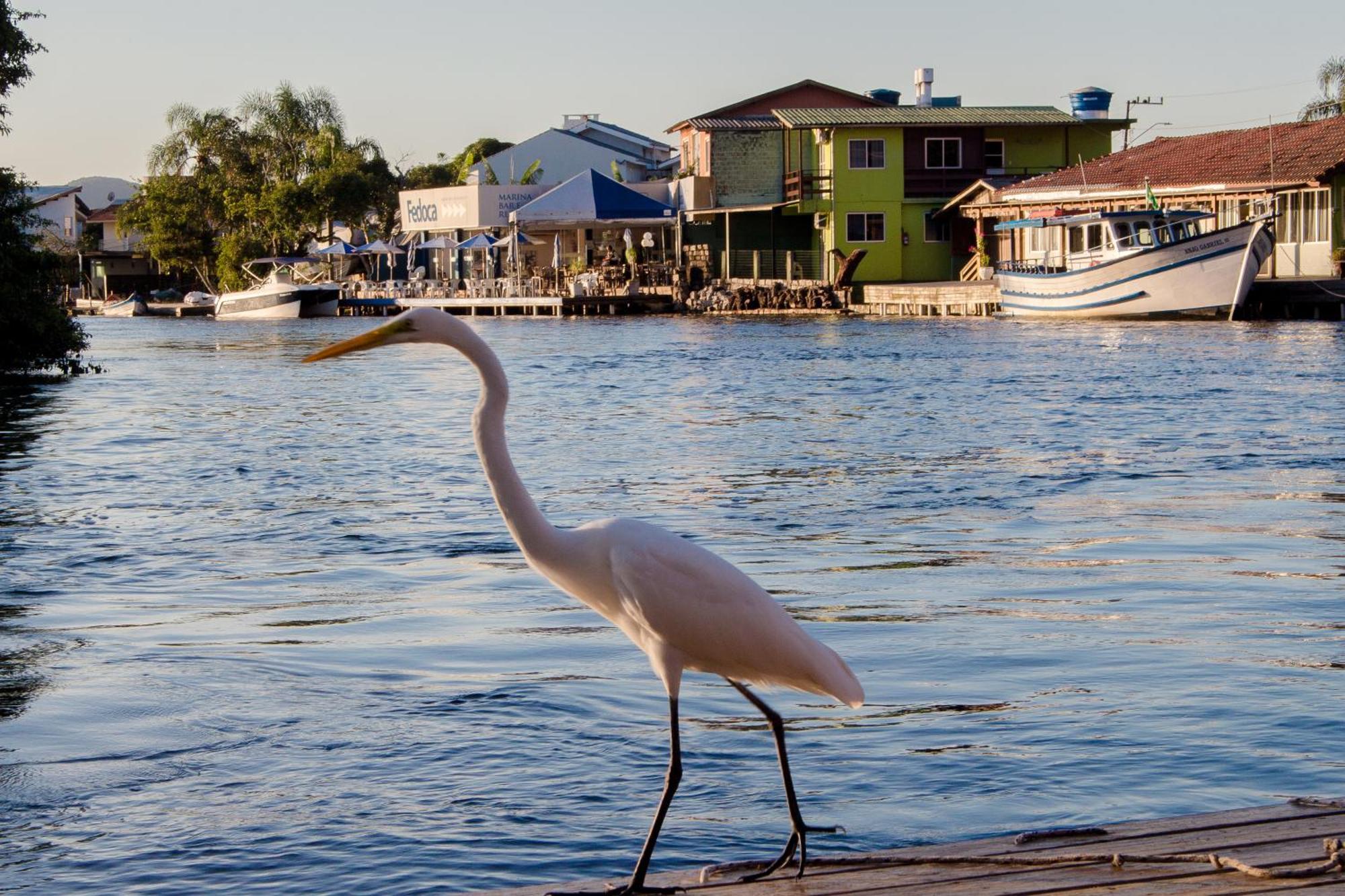 Pousada Quinta Da Margem Florianópolis Екстериор снимка
